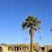 temple_karnak_lux_v_0089_egy1445.jpg